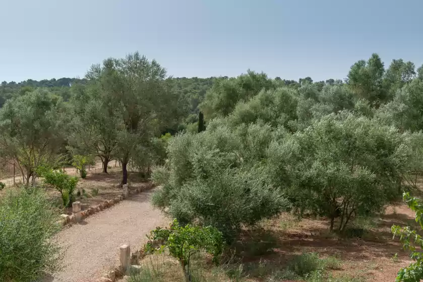 Alquiler vacacional en Ses rotes, Ullaró