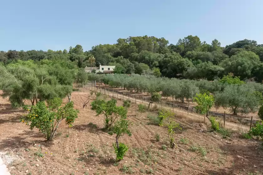 Alquiler vacacional en Ses rotes, Ullaró