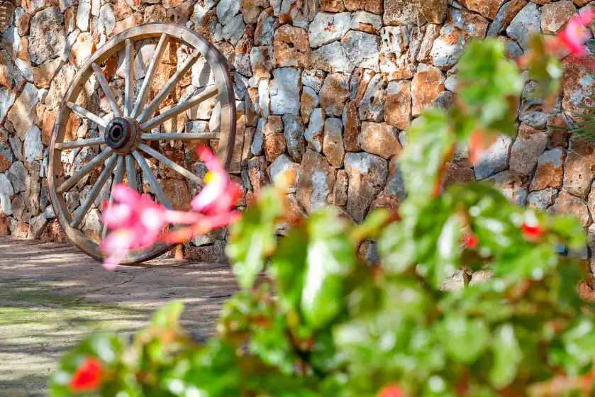 Holiday rentals in Es cocons (de son mut), Llucmajor