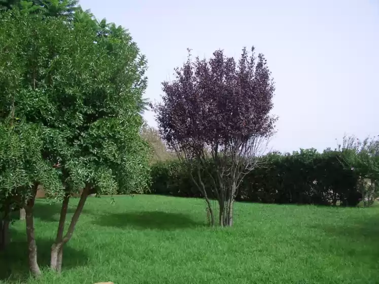 Ferienhaus auf Sa bòveda, Algaida