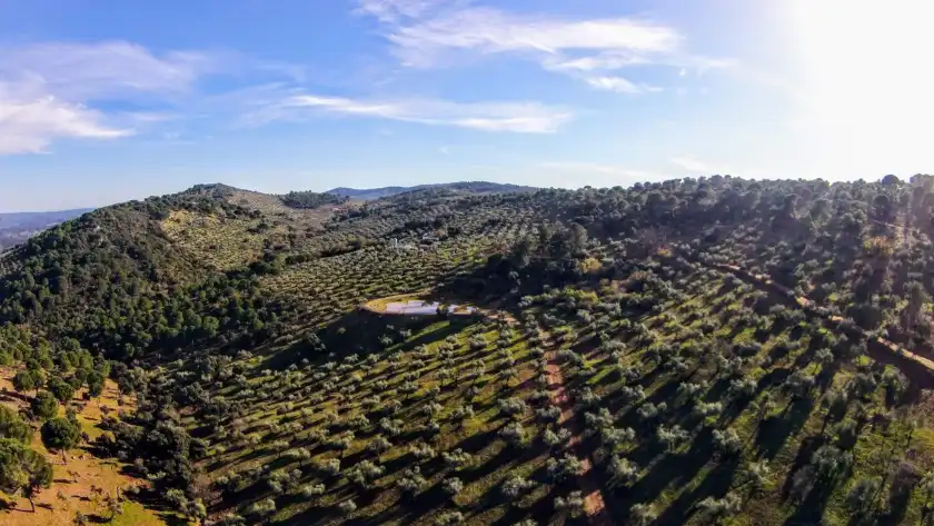 Ferienhaus auf Finca molino don zoilo 18, Alcaracejos