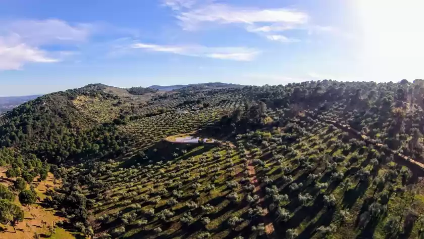 Ferienhaus auf Finca molino don zoilo 4, Alcaracejos