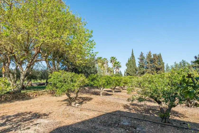 Ferienhaus auf Finca son morey, Muro