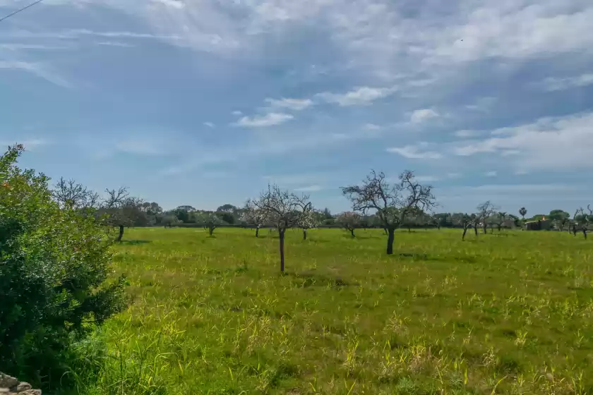 Ferienhaus auf Villa rosales, Santanyí