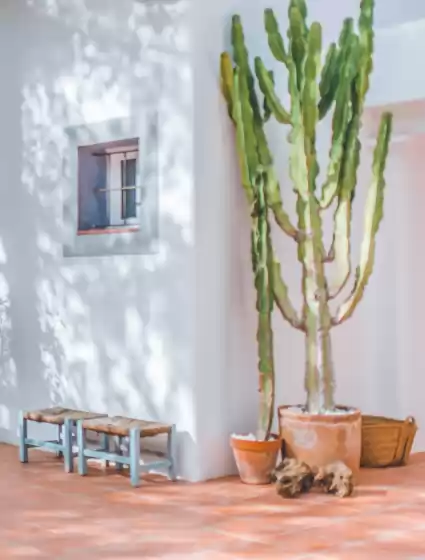 Alquiler vacacional en Can alana, Sant Agustí des Vedrà