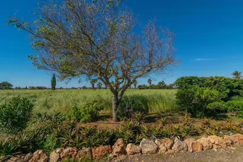 Alquiler vacacional en Finca maria, Campos