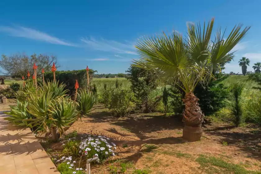 Alquiler vacacional en Finca maria, Campos