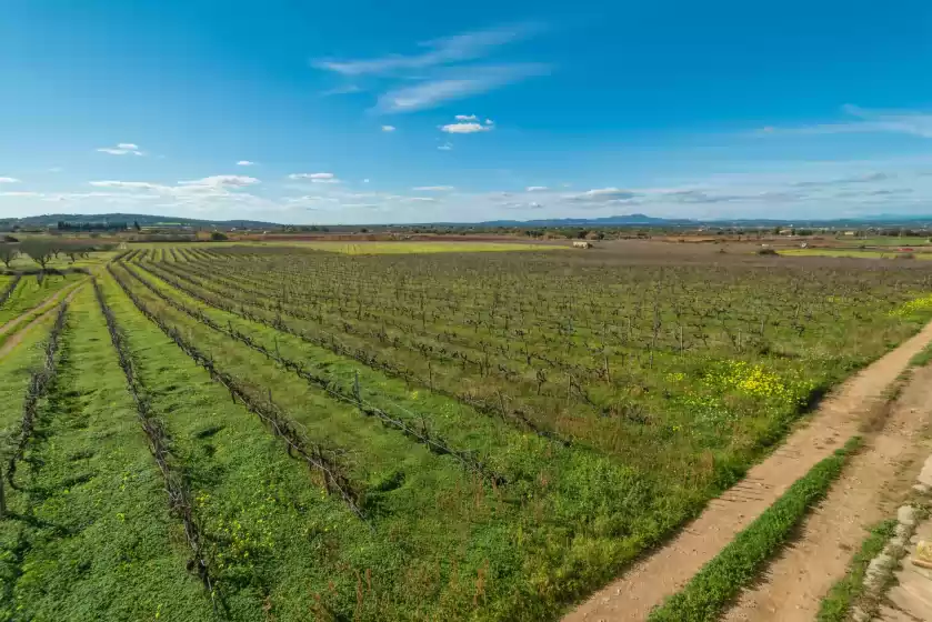 Alquiler vacacional en Son cifre, Felanitx