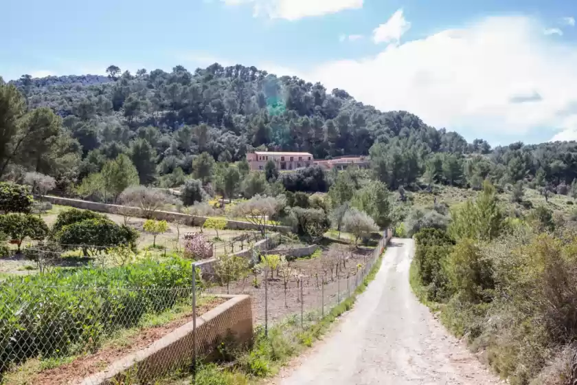 Holiday rentals in Font de sangonera, es Carritxó