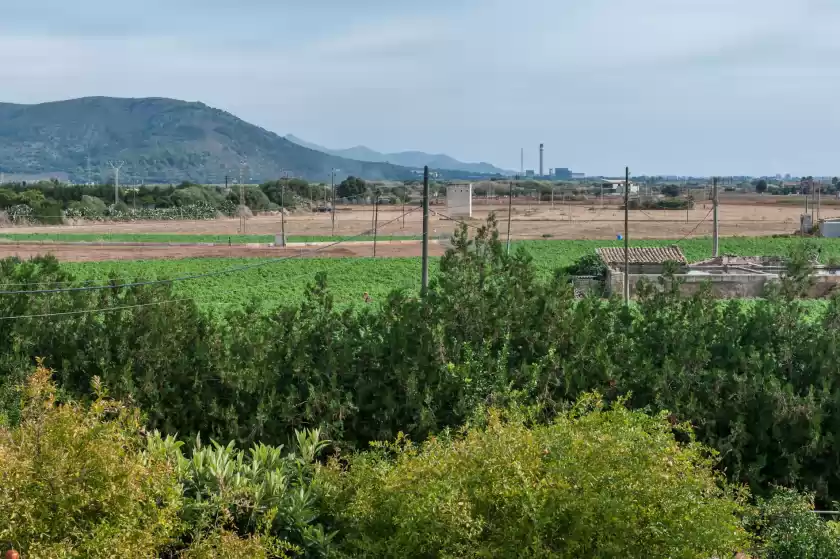 Ferienhaus auf Es serral, Sa Pobla