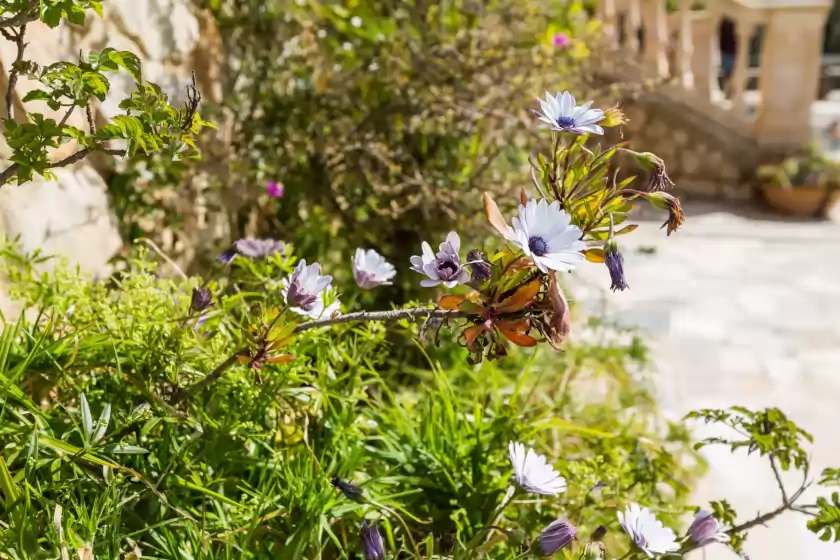 Alquiler vacacional en Casa marcos, Sant Llorenç des Cardassar
