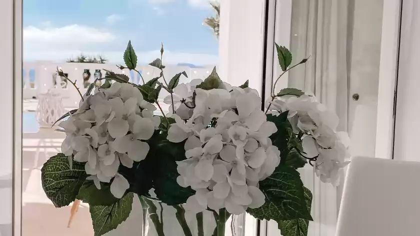 Ferienhaus auf Villa perla blanca, Jesús