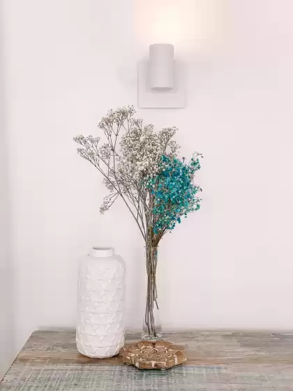 Ferienhaus auf Villa perla blanca, Jesús