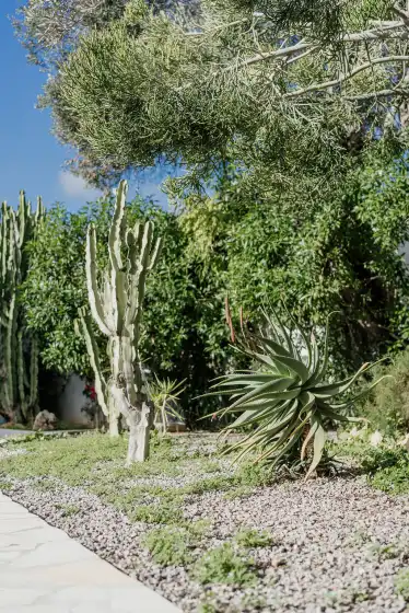 Ferienhaus auf Villa tango, Sant Jordi de ses Salines