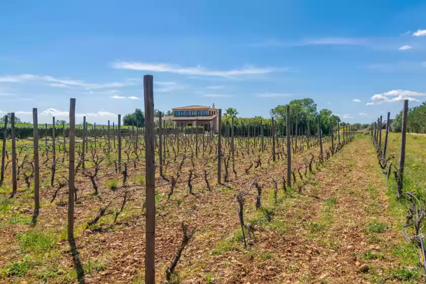 Location de vacances à Finca aria, Búger