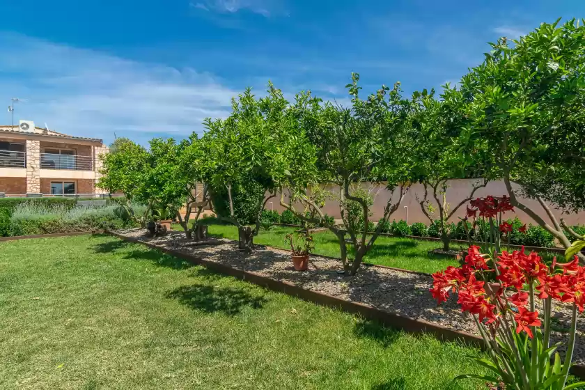 Ferienhaus auf Finca castillo, Manacor