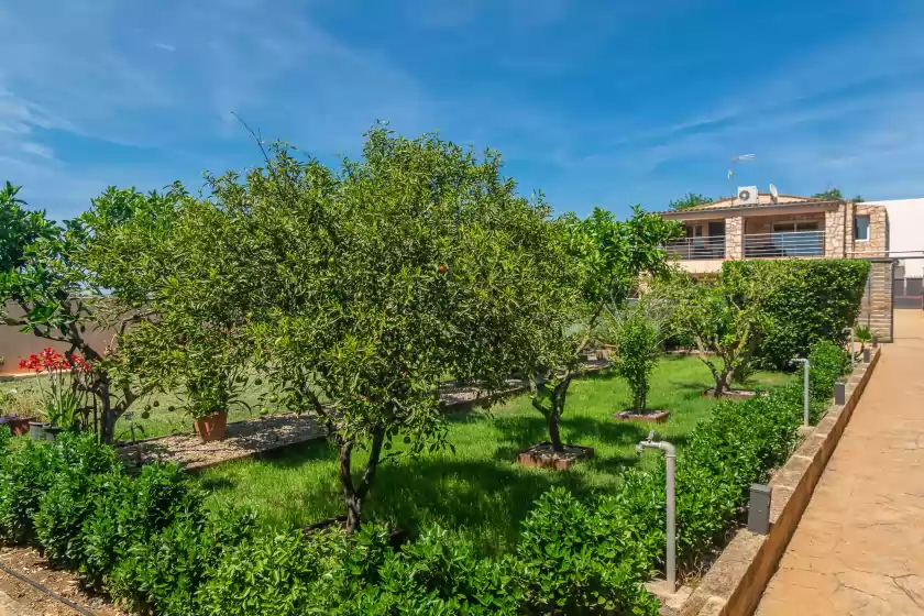 Ferienhaus auf Finca castillo, Manacor