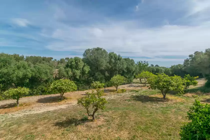 Ferienhaus auf Son barrigo, Porreres
