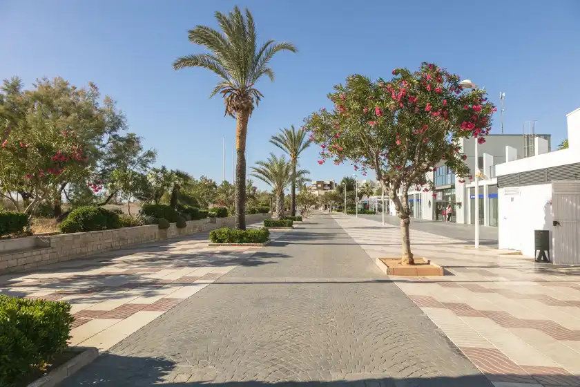 Alquiler vacacional en Gran canet, Platja de Canet