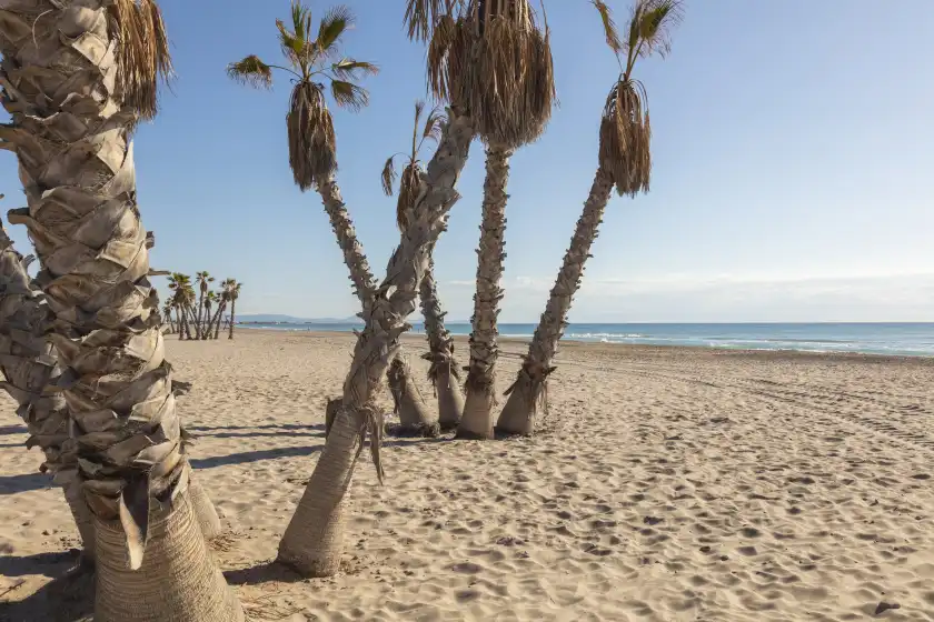 Alquiler vacacional en Gran canet, Platja de Canet