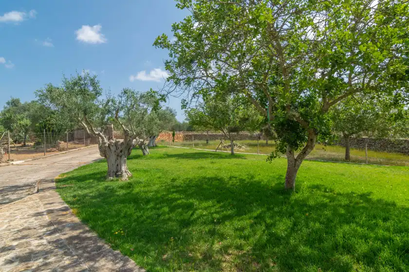 Holiday rentals in Sa rota, Santa Margalida