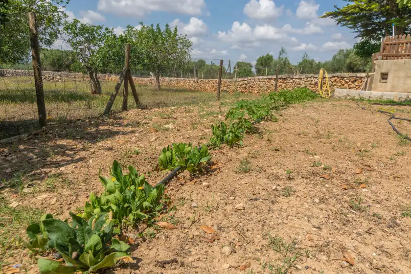 Holiday rentals in Sa rota, Santa Margalida