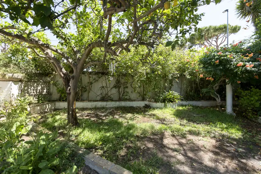 Holiday rentals in Fuente alegre, Chiclana de la Frontera