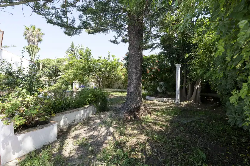 Holiday rentals in Fuente alegre, Chiclana de la Frontera