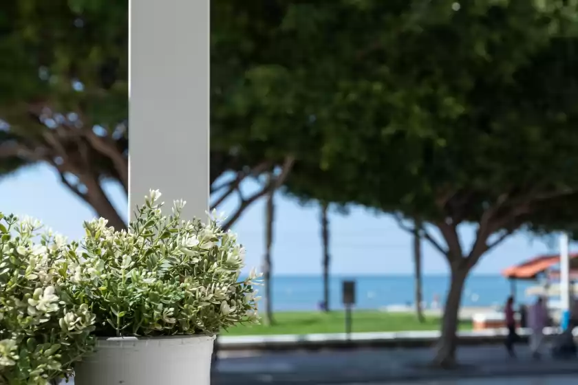 Holiday rentals in Patio del mar - adults only, Málaga