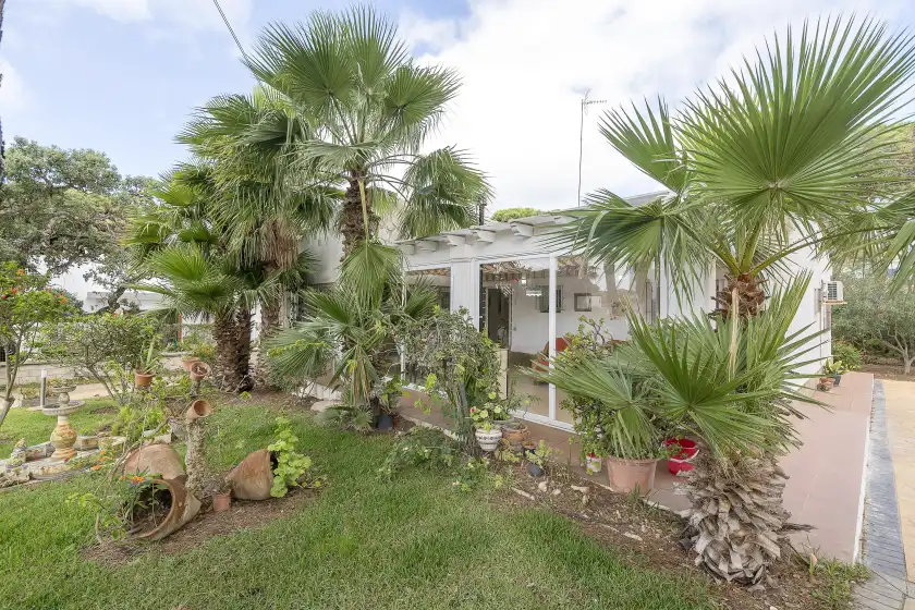 Holiday rentals in Las rosas, Chiclana de la Frontera