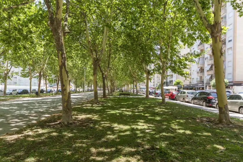 Ferienhaus auf Jardin vi, Grau i Platja