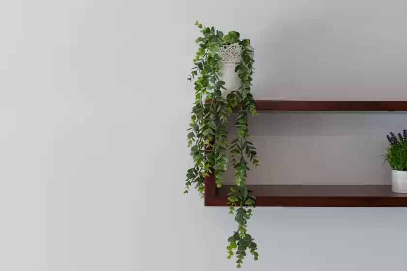 Alquiler vacacional en La casa de lola, Málaga