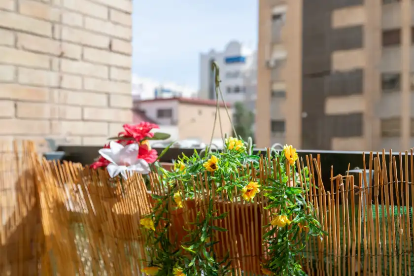 Holiday rentals in Auxi's home, Málaga