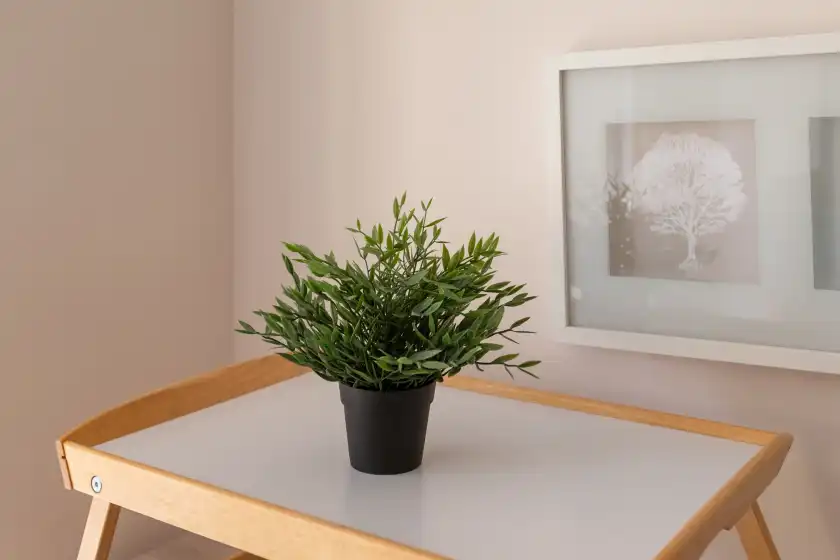 Holiday rentals in Auxi's home, Málaga