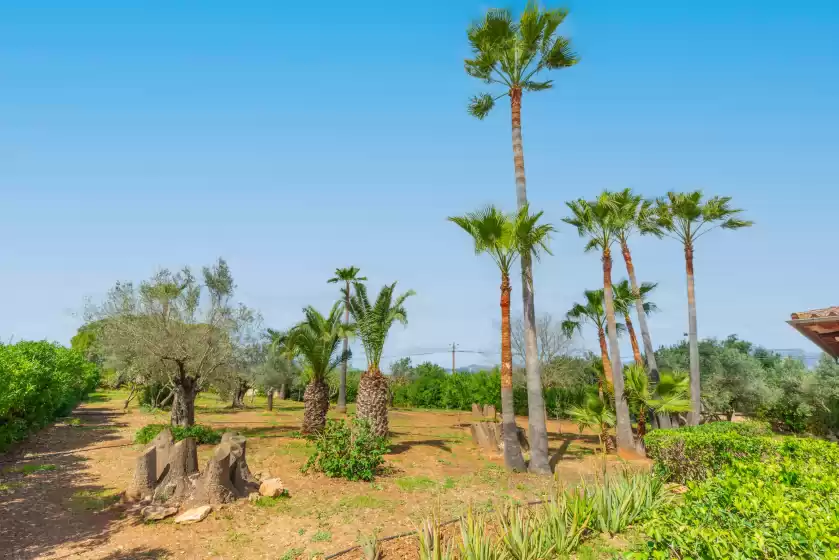Ferienhaus auf Es garroveret, Es Garrovers-Son Daviu Nou-Ses Llegitimes