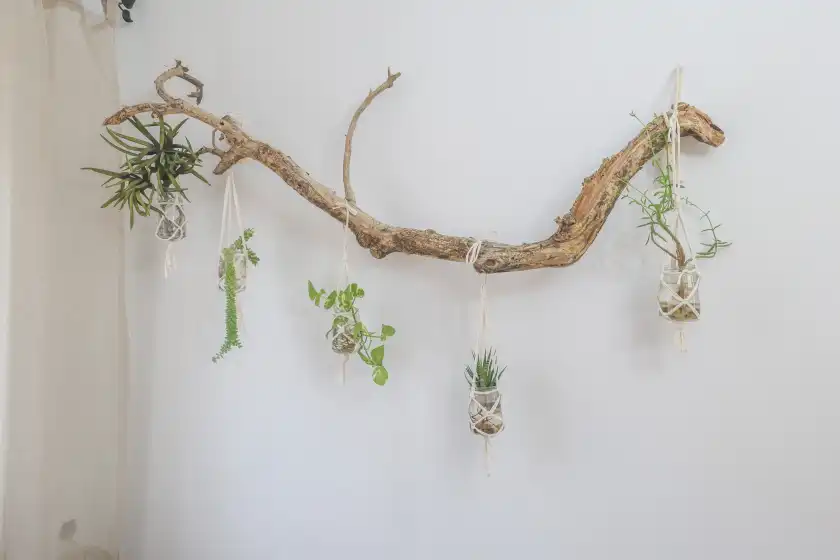 Ferienhaus auf La morada del yayo, Las Pajanosas