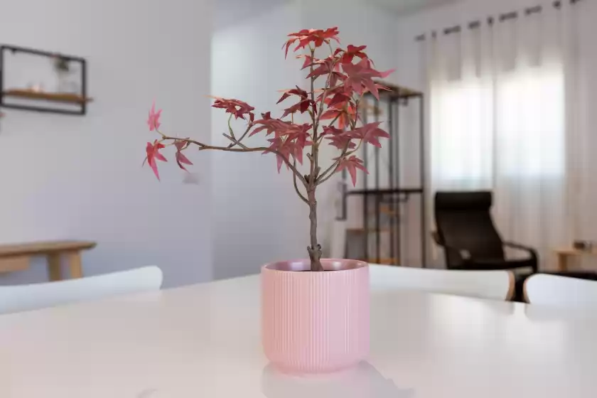 Holiday rentals in La piedra de coin, Coín