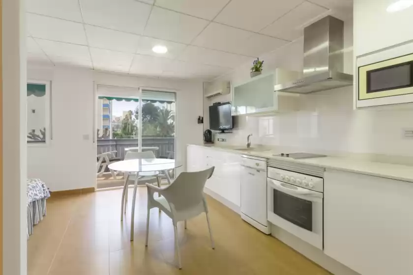 Alquiler vacacional en Oasis gandia, Gandia