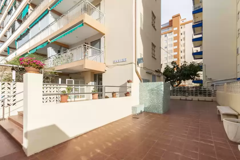 Alquiler vacacional en Oasis gandia, Gandia