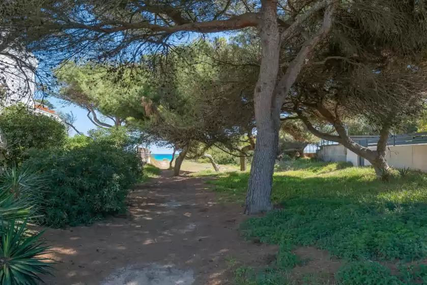 Location de vacances à Villa canta, Platja de Muro