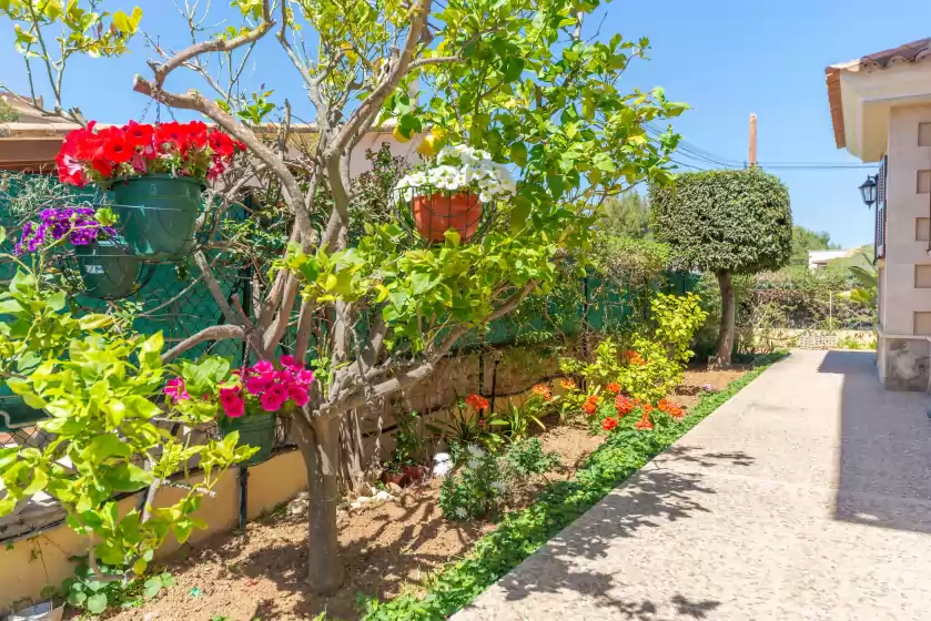 Ferienhaus auf Magdalena gomila marimon (llac blau), Alcúdia