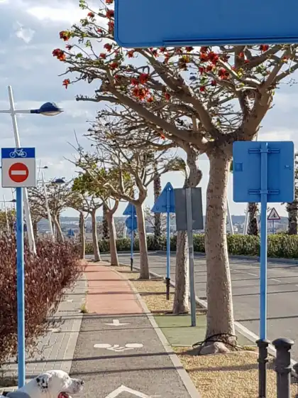 Ferienhaus auf Bahia de alicante, Alacant/Alicante