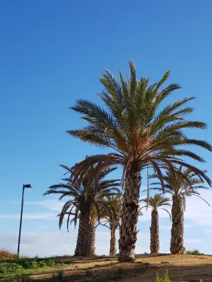 Ferienhaus auf Bahia de alicante, Alacant/Alicante