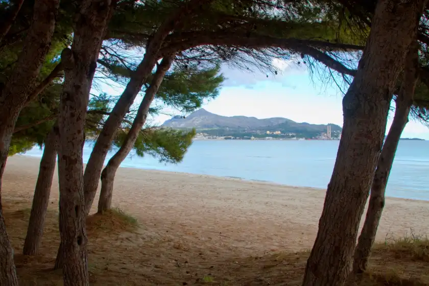 Holiday rentals in Ca na kika, Port d'Alcúdia