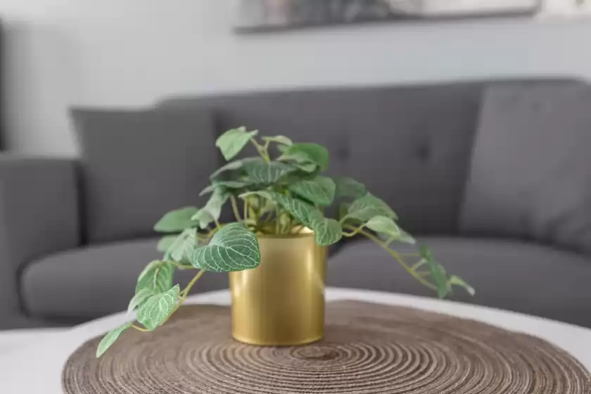 Holiday rentals in Brisa del mar, Torremolinos