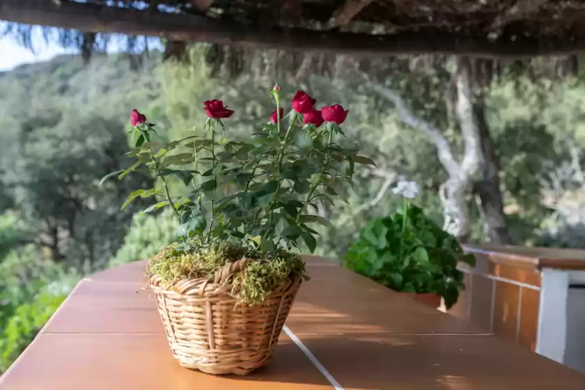 Ferienhaus auf Aurora, Gaucín