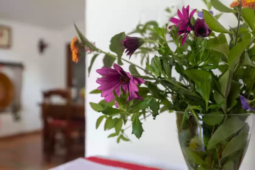 Ferienhaus auf Aurora, Gaucín