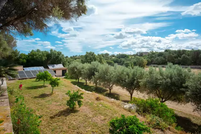 Holiday rentals in Son burguet, Llubí