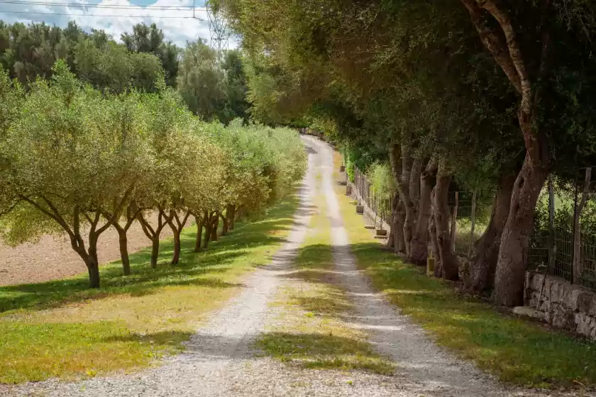 Holiday rentals in Son burguet, Llubí