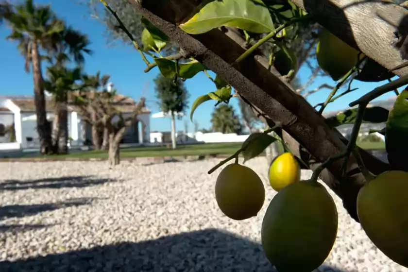 Alquiler vacacional en Villa orlando, el Poble Nou de Benitatxell/Benitachell